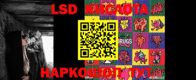 молекула духа Новозыбков