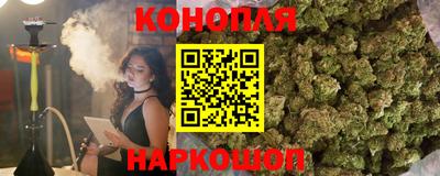 мяу мяу мука Нальчик