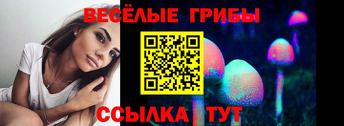 что такое   Галлюциногенные грибы ЛСД  Вход с VPN  Туапсе 